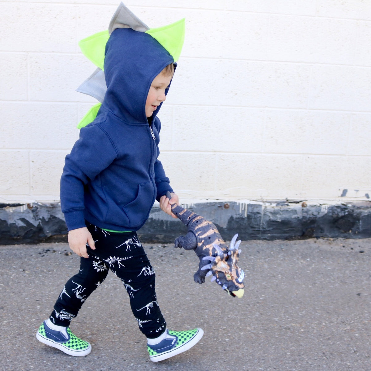 Dinosaur hoodie 2024 toddler boy