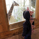 Giraffe print dinosaur spike hoodie for kids - Wolfe and Scamp
