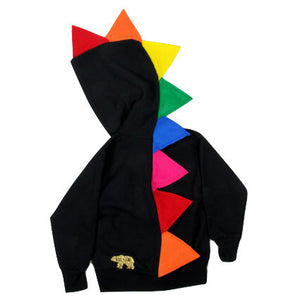 Z - RTS Rainbow Dinosaur Hoodie for Babies, Toddlers and Kids - 2T - Wolfe and Scamp